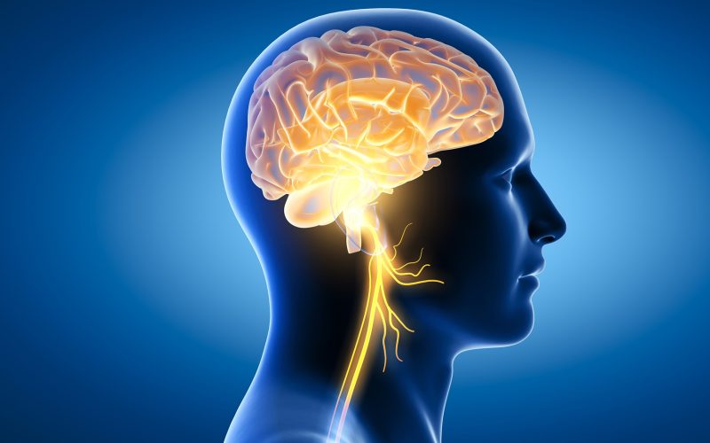 parkinsons_basal_ganglia parkinsons_basal_ganglia